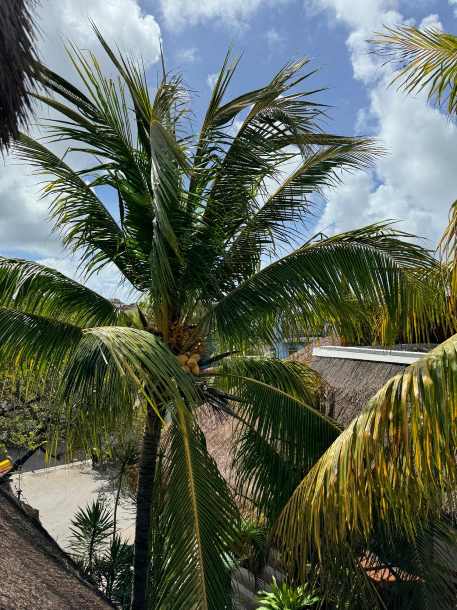 Kin Ha Tulum Hotel Kültér fotó