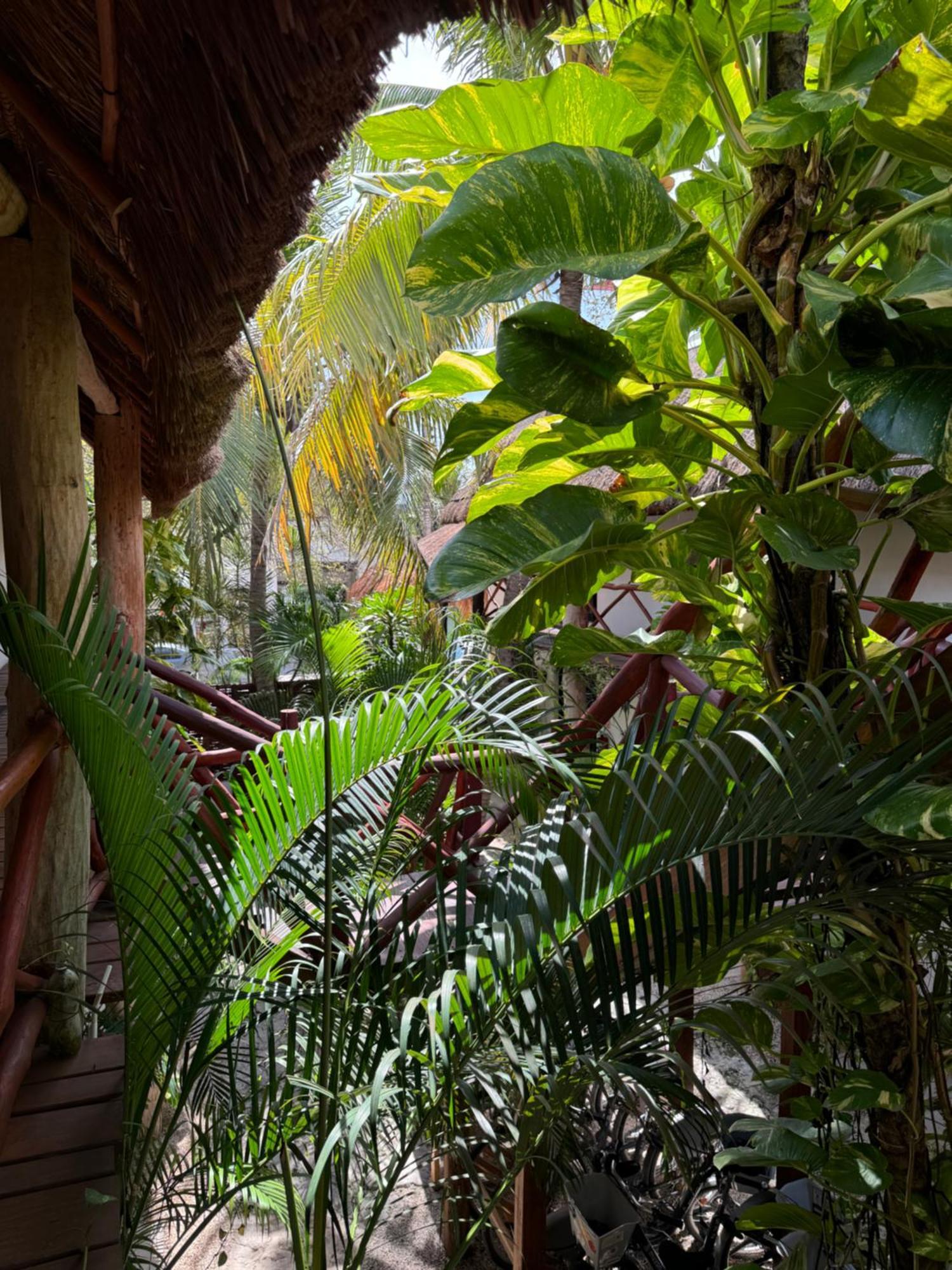Kin Ha Tulum Hotel Kültér fotó