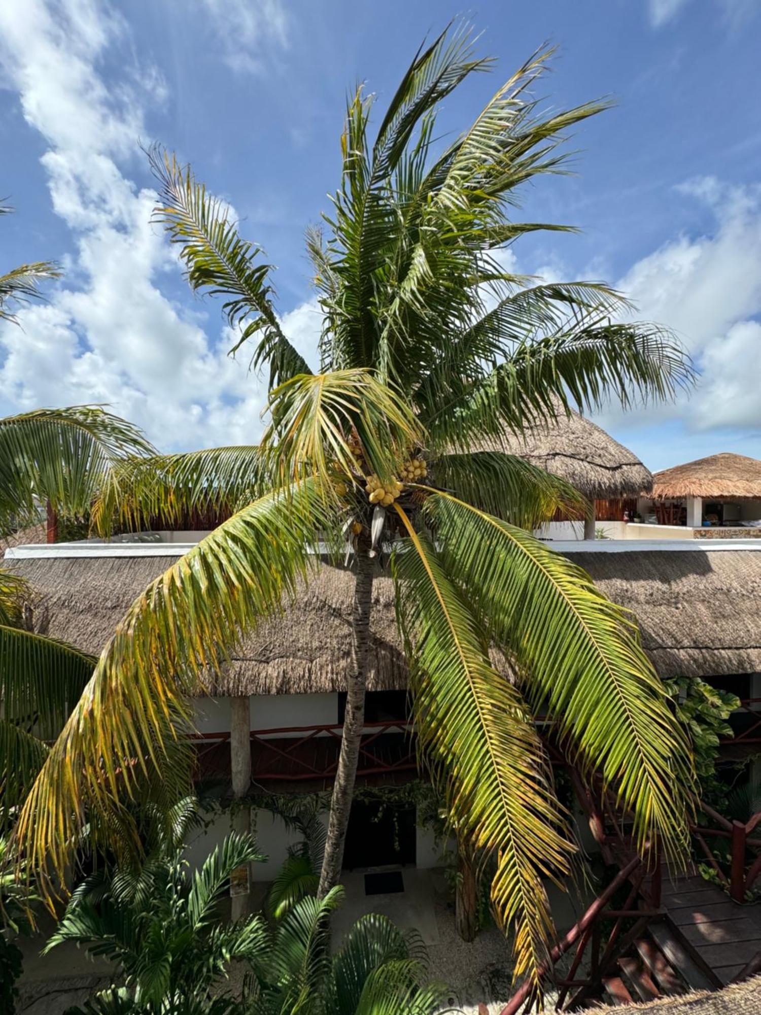 Kin Ha Tulum Hotel Kültér fotó